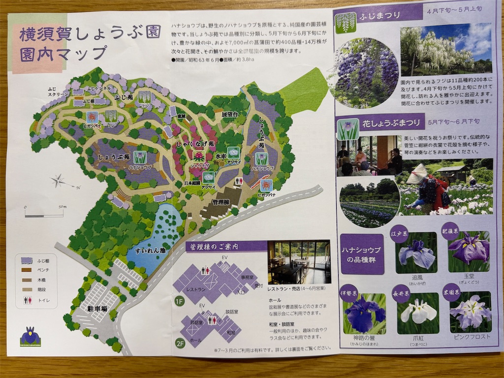 f:id:zabon-inu:20260426181439j:image