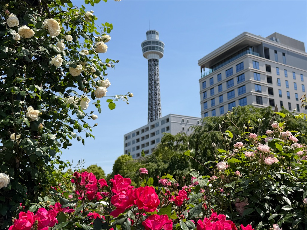 f:id:zabon-inu:20260504115854j:image
