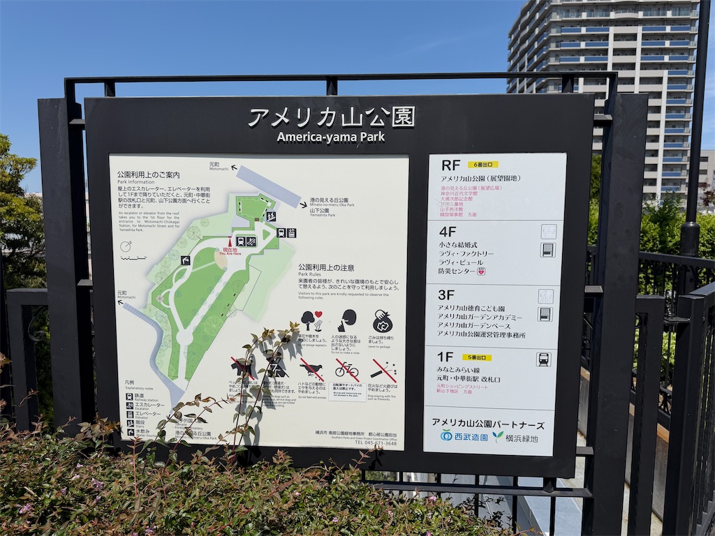 f:id:zabon-inu:20260505065729j:image