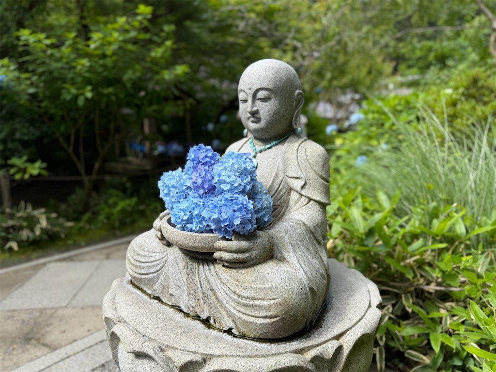 f:id:zabon-inu:20260607094137j:image f:id:zabon-inu:20260607094137j:image