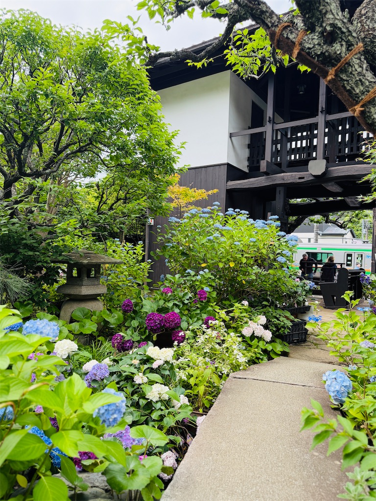 f:id:zabon-inu:20260607094342j:image f:id:zabon-inu:20260607094342j:image
