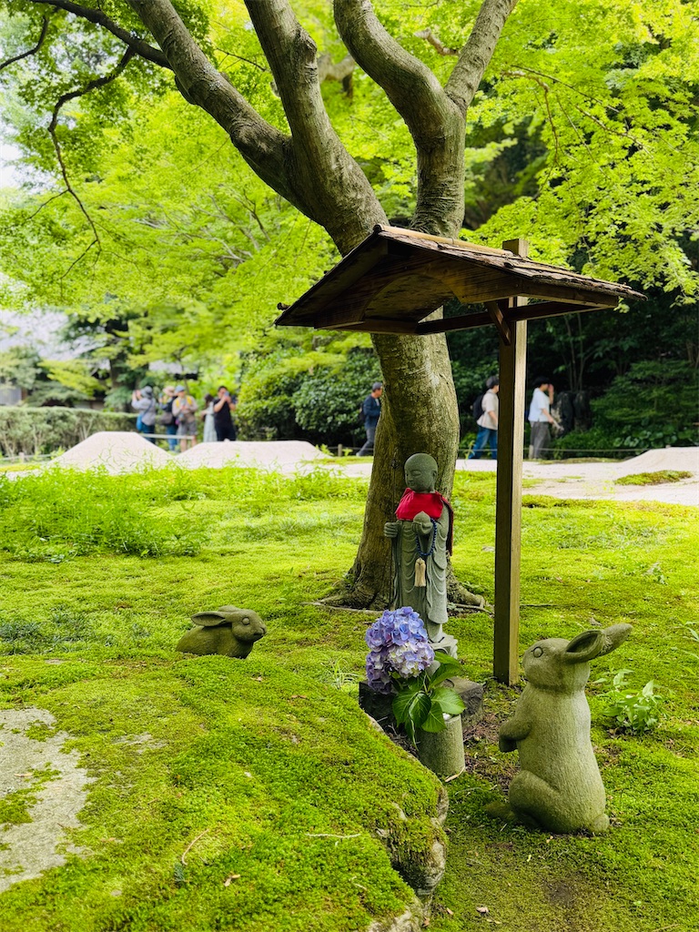 f:id:zabon-inu:20260607133828j:image f:id:zabon-inu:20260607133828j:image