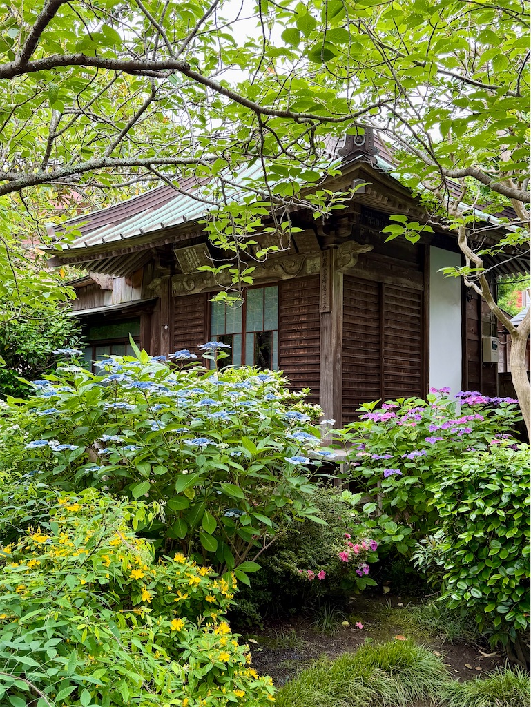 f:id:zabon-inu:20260610163129j:image f:id:zabon-inu:20260610163129j:image