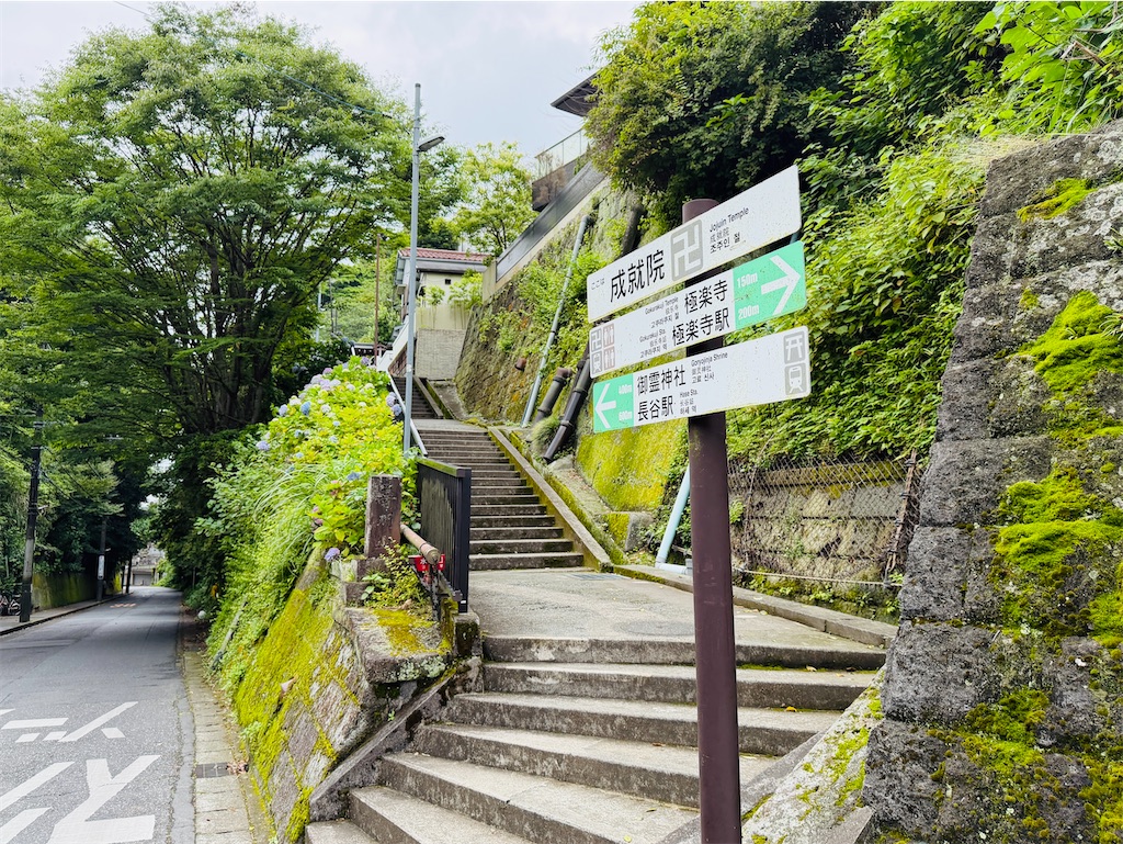 鎌倉】長谷寺のあじさいが見頃に｜極楽寺・成就院と長谷を歩く
