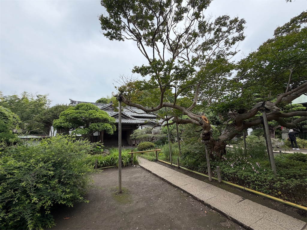 f:id:zabon-inu:20260610163227j:image f:id:zabon-inu:20260610163227j:image