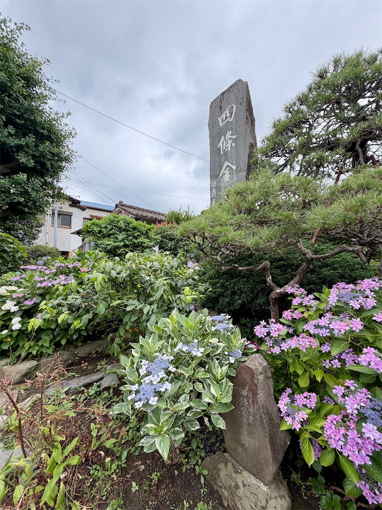 f:id:zabon-inu:20260610163328j:image f:id:zabon-inu:20260610163328j:image