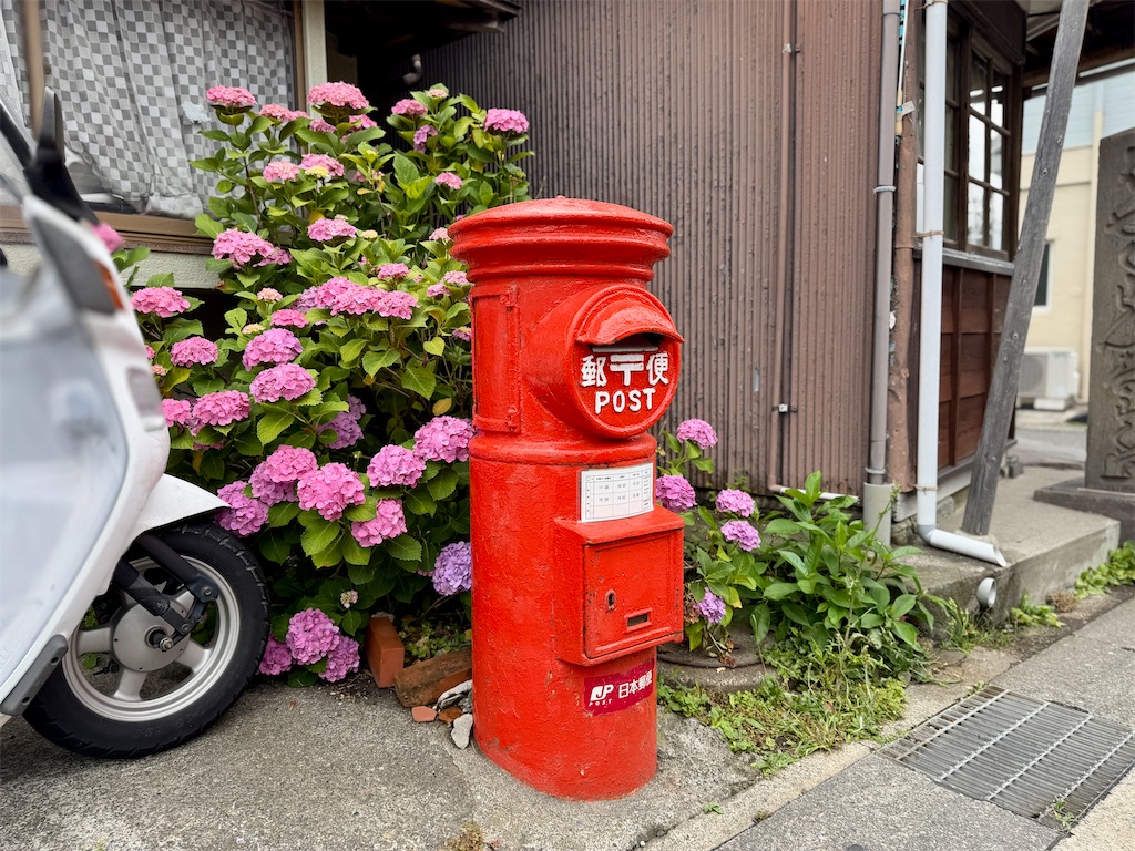 f:id:zabon-inu:20260610163337j:image f:id:zabon-inu:20260610163337j:image