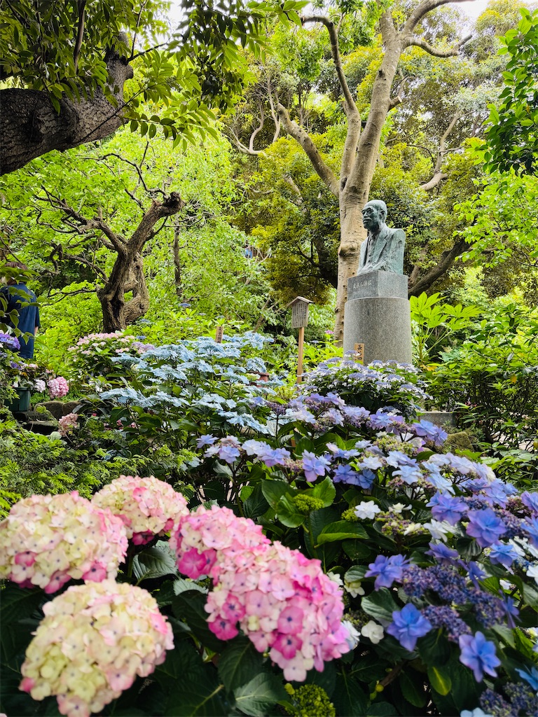 f:id:zabon-inu:20260610163343j:image f:id:zabon-inu:20260610163343j:image