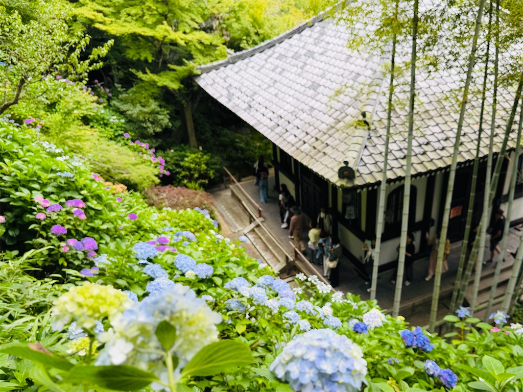 f:id:zabon-inu:20260610163503j:image f:id:zabon-inu:20260610163503j:image