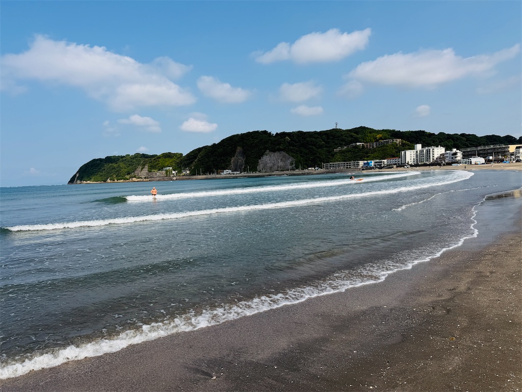 f:id:zabon-inu:20260613100718j:image