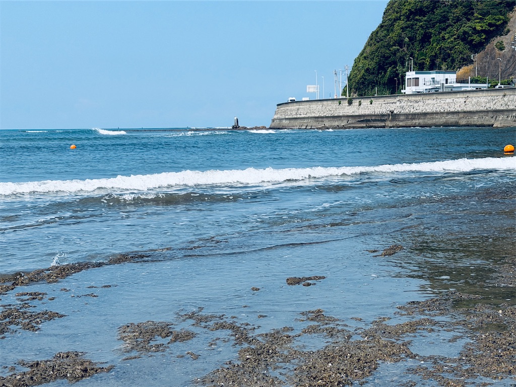 f:id:zabon-inu:20260613101420j:image