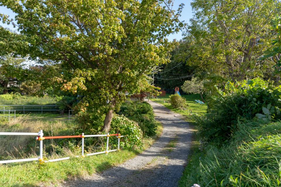 f:id:zacharylion:20190629172102j:plain