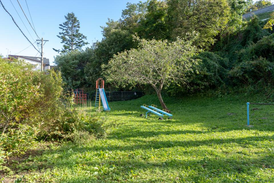 f:id:zacharylion:20190629172106j:plain