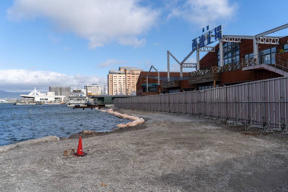 f:id:zacharylion:20190629172250j:plain