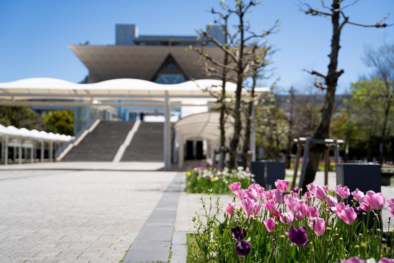 f:id:zacharylion:20200422111842j:plain