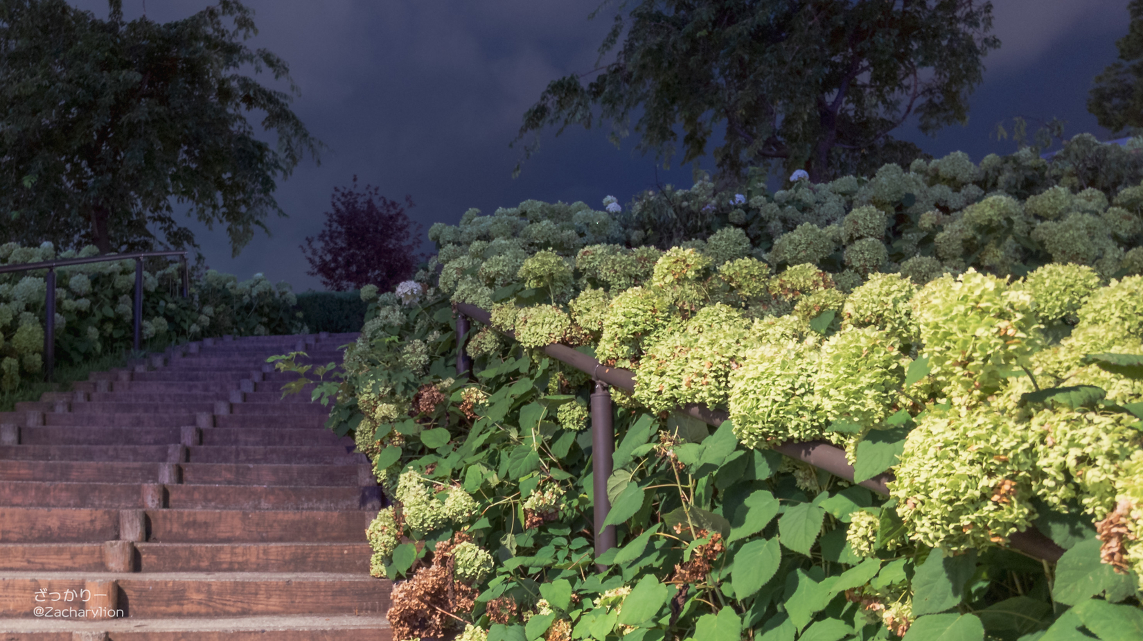 f:id:zacharylion:20200730224126j:plain