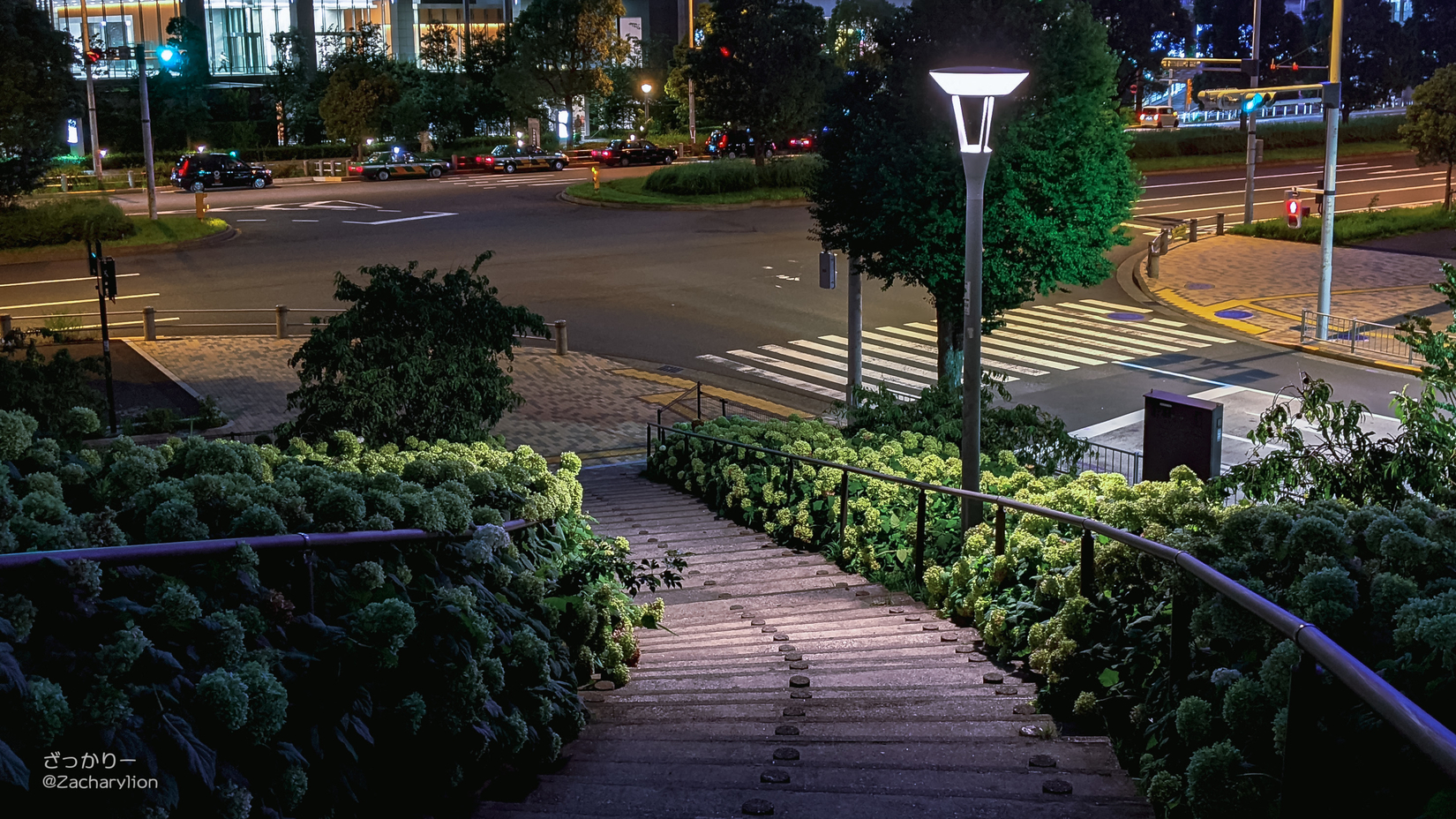 f:id:zacharylion:20200730224143j:plain