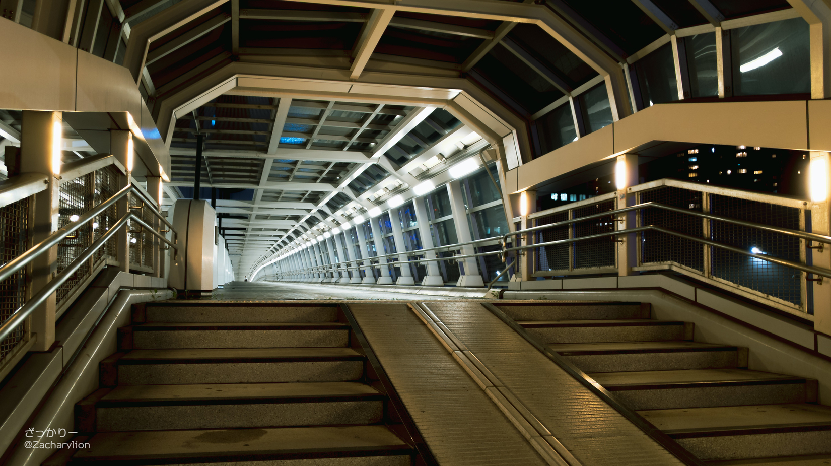 f:id:zacharylion:20200730224218j:plain