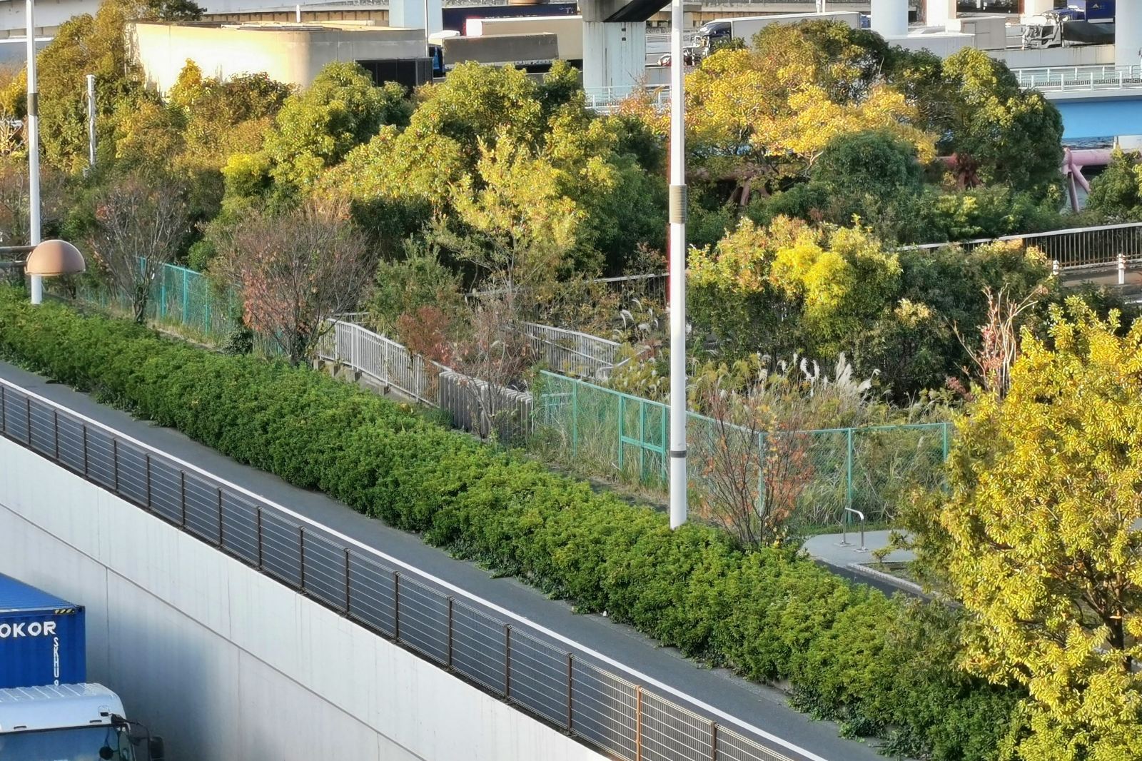 f:id:zacharylion:20200924094049j:plain