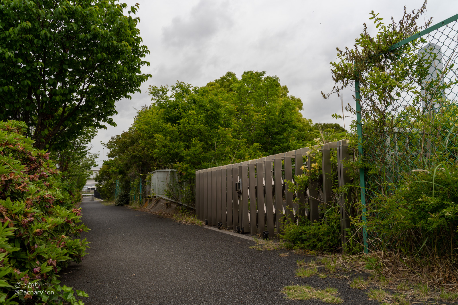 f:id:zacharylion:20200924094249j:plain