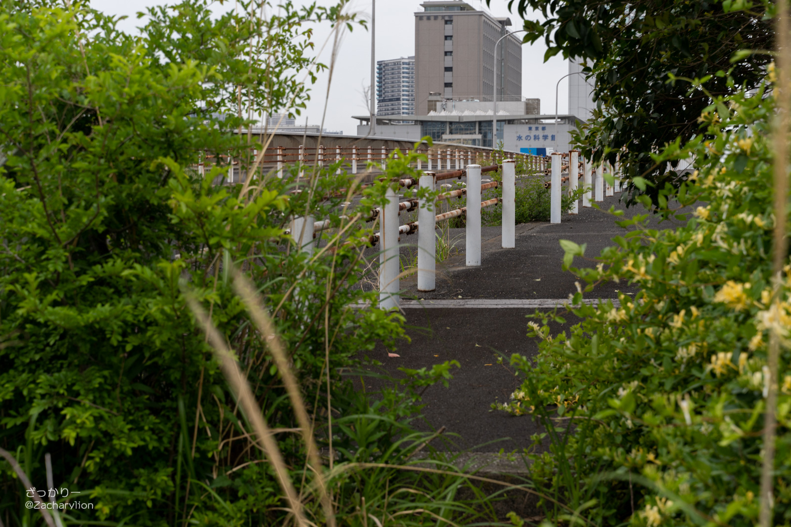 f:id:zacharylion:20200924094323j:plain