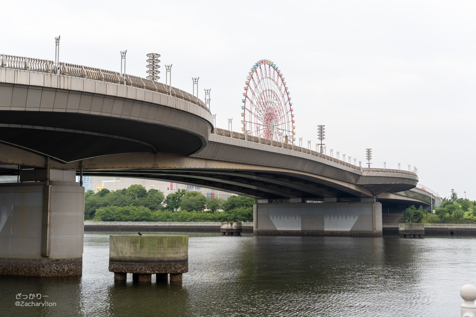 f:id:zacharylion:20200924100058j:plain