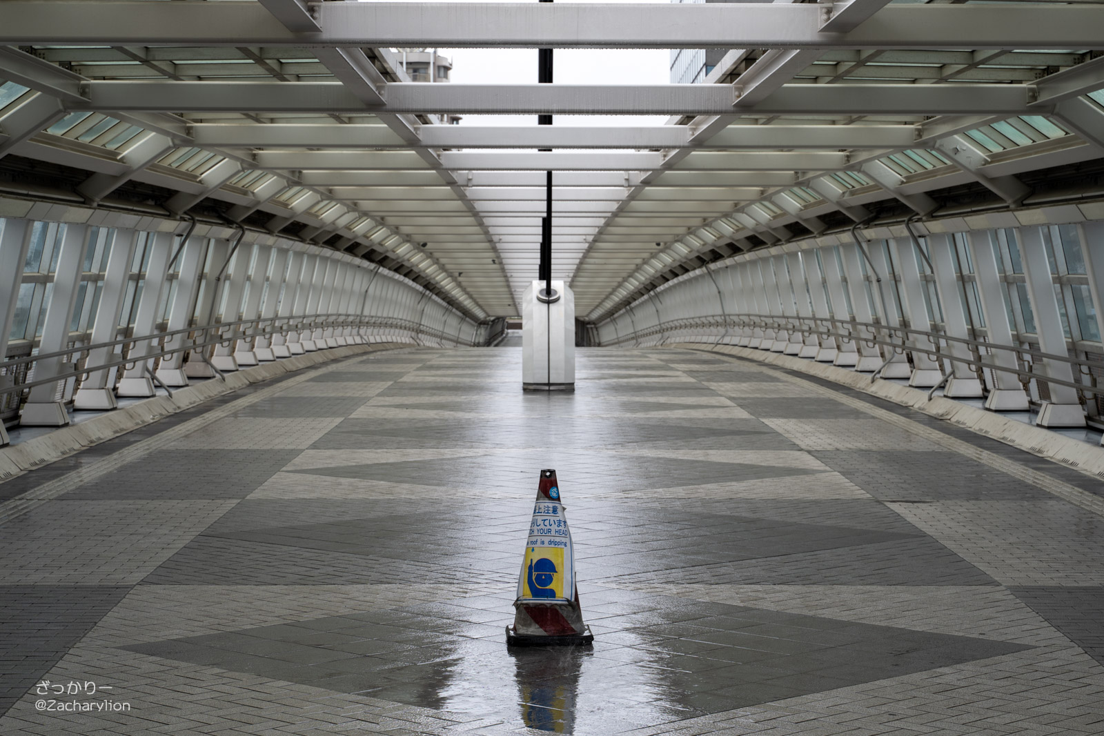 f:id:zacharylion:20201002112452j:plain