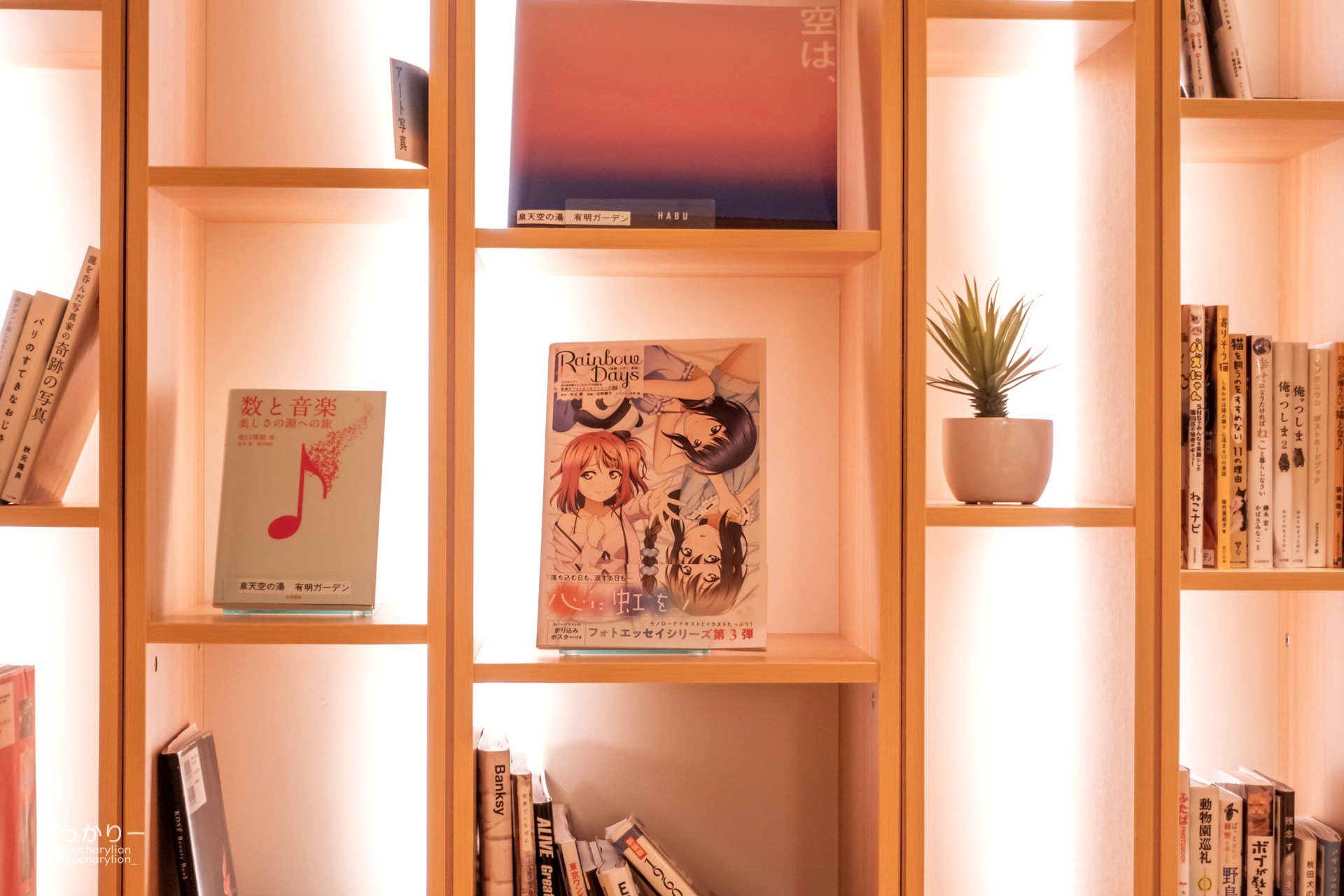 f:id:zacharylion:20220215203131j:plain