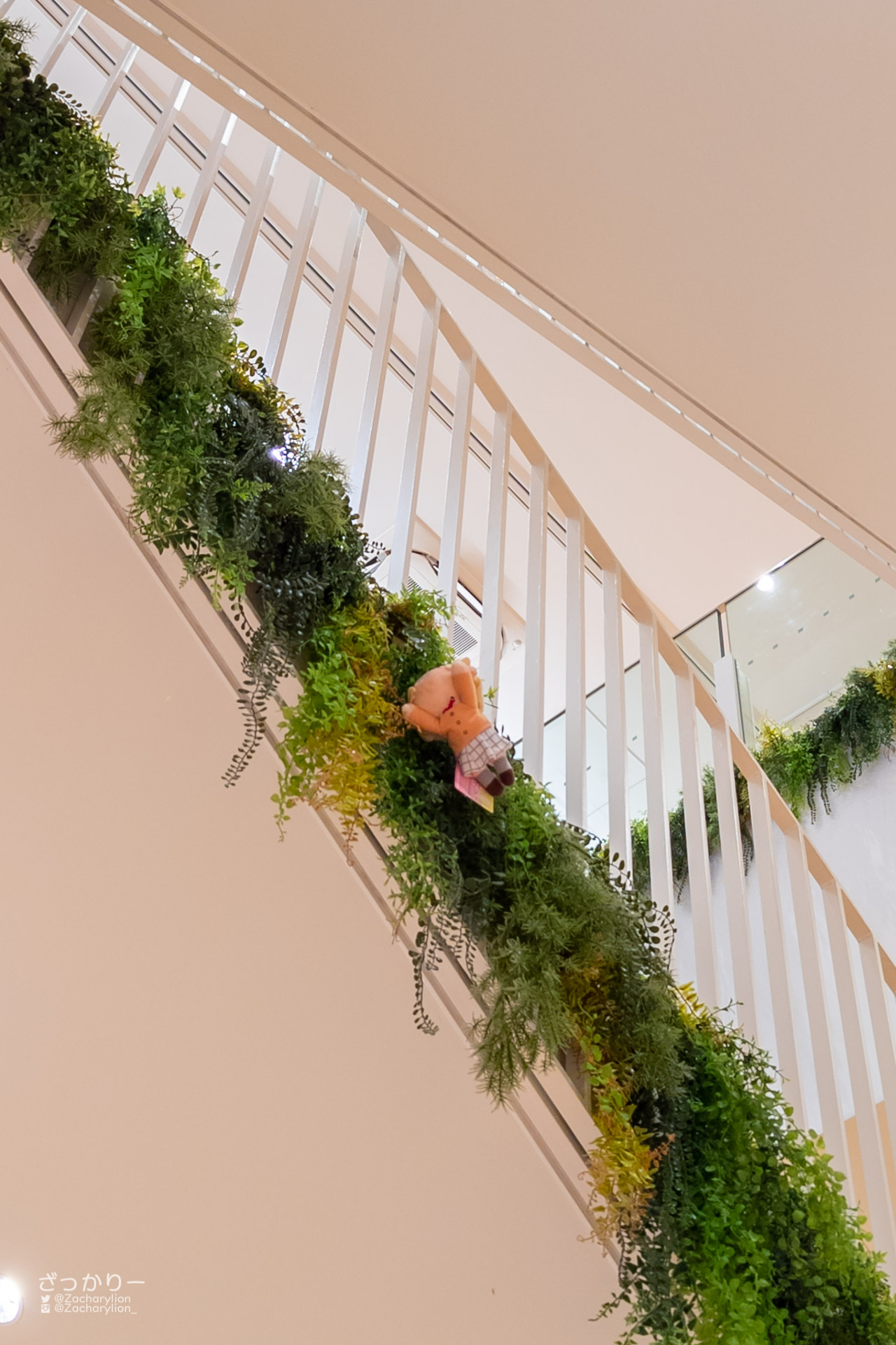 f:id:zacharylion:20220215224856j:plain