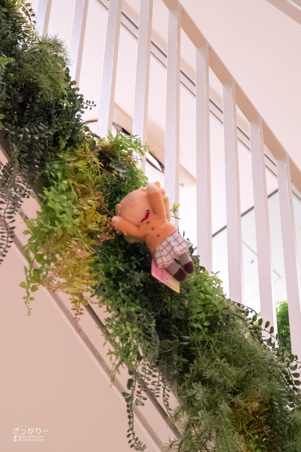 f:id:zacharylion:20220215224902j:plain