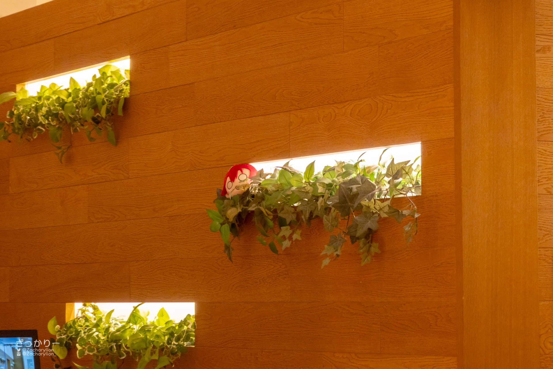 f:id:zacharylion:20220215225043j:plain