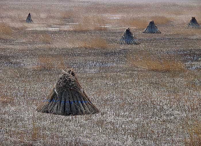 f:id:zaemon999:20140217155935j:image