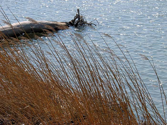 f:id:zaemon999:20140217162415j:image