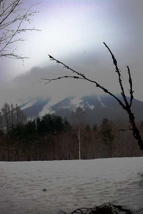 f:id:zaemon999:20140331105755j:image