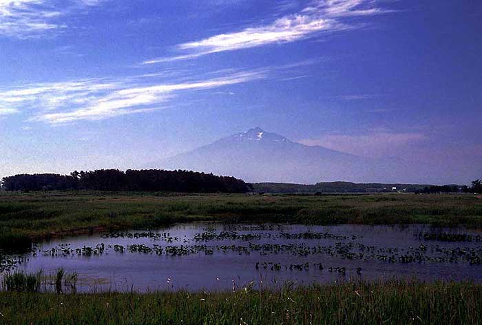 f:id:zaemon999:20140401162431j:image