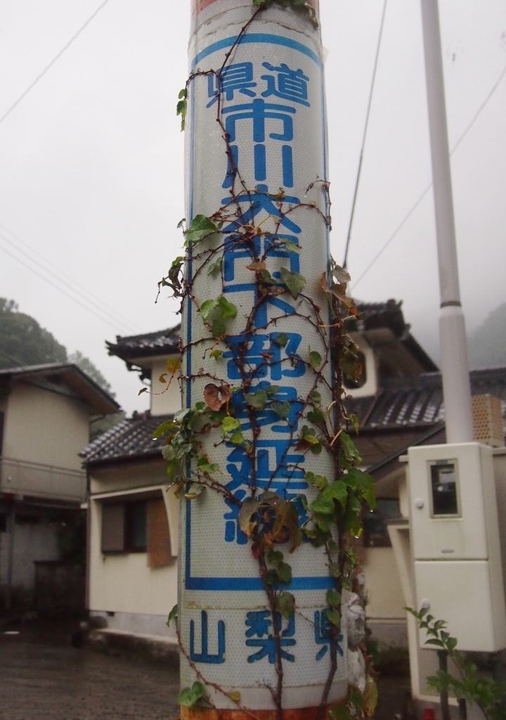 f:id:zaicchan:20121017165429j:plain f:id:zaicchan:20121017165429j:plain