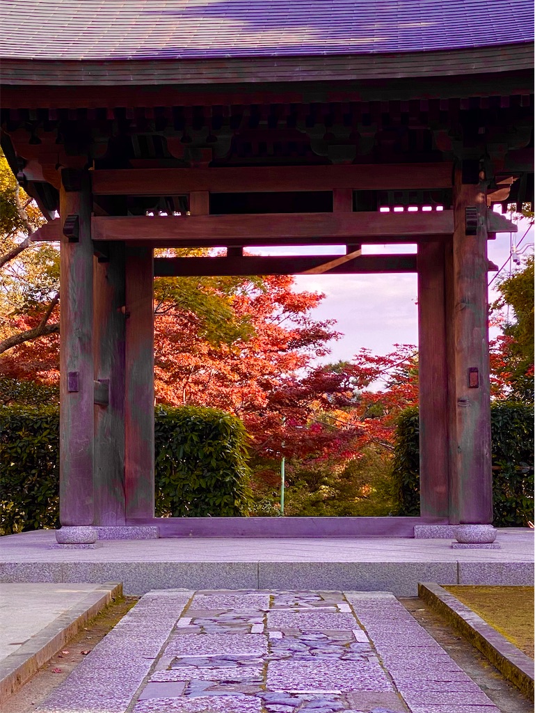 f:id:zaicon:20201122115301j:image