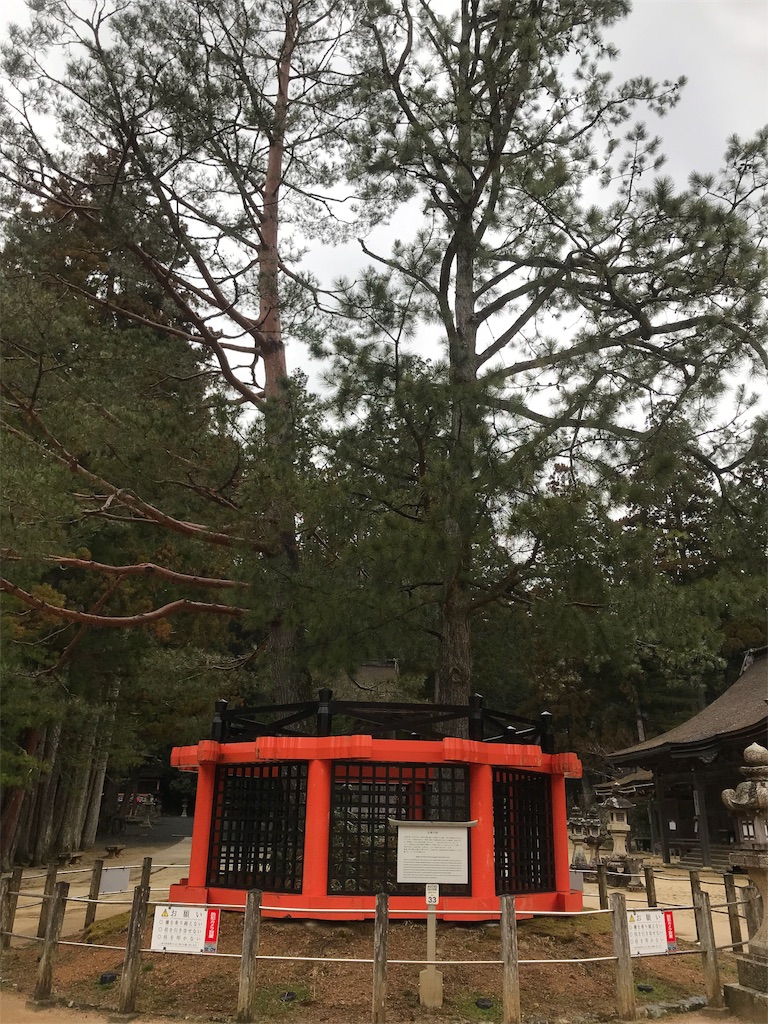 f:id:zaihamizunogotoshi:20190328023939j:image