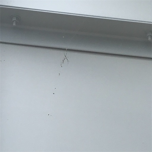 f:id:zaihamizunogotoshi:20220812185734j:image