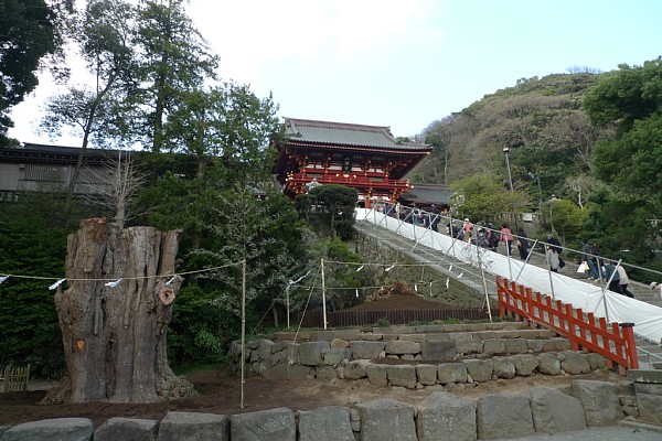 f:id:zaikabou:20100321065735j:image