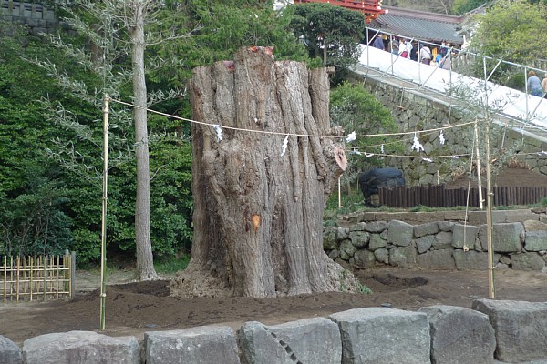 f:id:zaikabou:20100321065911j:image