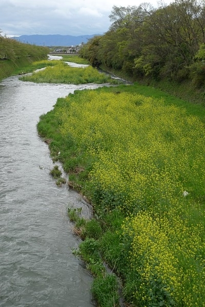 f:id:zaikabou:20100425183826j:image f:id:zaikabou:20100425183826j:image