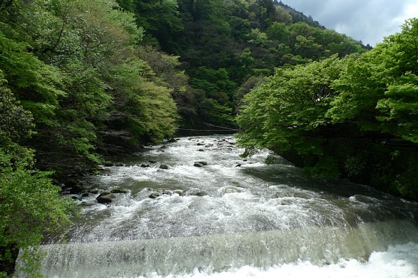 f:id:zaikabou:20100503050356j:image