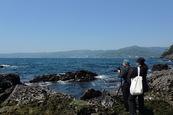 f:id:zaikabou:20100504070944j:image