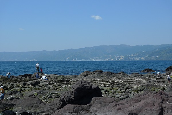 f:id:zaikabou:20100504070946j:image