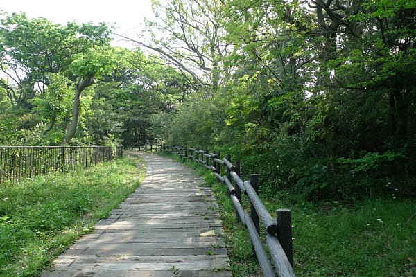 f:id:zaikabou:20100507090358j:image f:id:zaikabou:20100507090358j:image