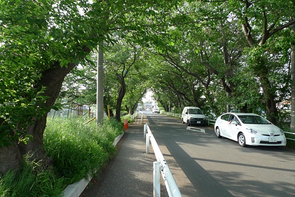 f:id:zaikabou:20100507092949j:image f:id:zaikabou:20100507092949j:image