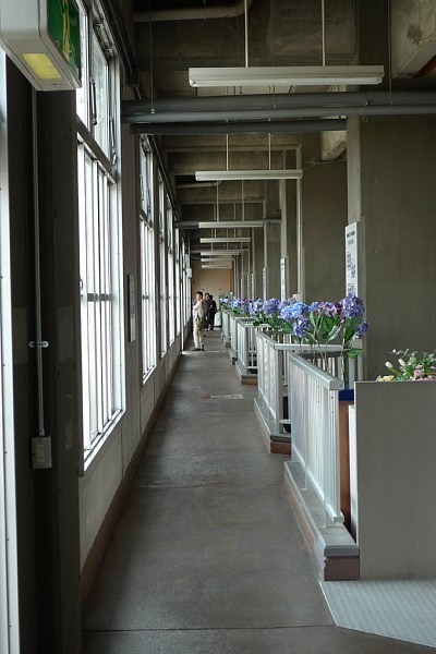 f:id:zaikabou:20100620065645j:image