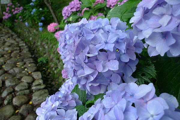 f:id:zaikabou:20100626235921j:image f:id:zaikabou:20100626235921j:image