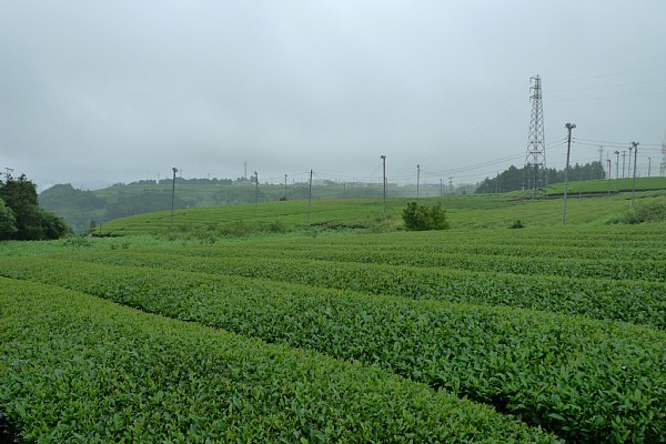 f:id:zaikabou:20100627000310j:image f:id:zaikabou:20100627000310j:image